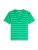 TOMMY HILFIGER Shirt ‘CODY’  groen / wit