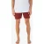 Hurley Phantom Naturals Baja 17 Volley Shorts Ranger