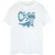 Li-cense Disney dames frozen 2 salamander bruni stoer katoenen vriendje t-shirt