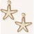 Notre-V Sieraden Earring Sea Star Beige