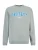PROTEST Sweatshirt ‘PRTIzzy’  grijs