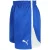 Puma V5.06 Handbal Dames Blauw/Wit Korte Broek