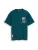 TOM TAILOR Shirt  smaragd / zwart / wit