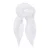 Premier Dames/vrouwenwerk Chiffon Formele Sjaal (Wit)