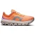 On Cloudflow 5 Tangerine | Silver