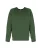 Champion blouse Mannen groen