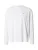 HOLLISTER Shirt  wit