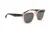 Bulget Sunglasses BGY9003 T01P 50