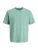 Jack & Jones Junior Shirt ‘JJESTAR’  jade groen / wit