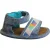 Toms Shiloh Blauw