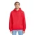 Hoodie Spyder Stryder