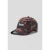 Pet Cayler & Sons csbl crt