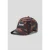 Pet Cayler & Sons csbl crt