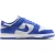 Nike Dunk Sneakers Dames – Wit –