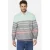Babista katoenen relaxed fit gestreepte trui Plus Size – groen