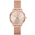Michael Kors dames MK3845 horloge