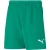 Puma Teamrise shorts voor kinderen