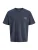 Jack & Jones Junior Shirt ‘JORMONTAUK’  lichtbeige / lichtblauw / grijs / oranje