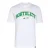 ADIDAS PERFORMANCE Shirt ‘Audi Revolut F1 Team Gabriel Bortoleto Grafik III’  groen / wit