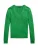Polo Ralph Lauren Trui  groen