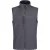 Regatta Heren Flux Softshell Body Warmer (Zeehond Grijs/Seal Grijs)