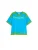 Desigual Shirt  hemelsblauw / groen