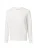 GANT Sweatshirt  wit