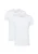 camano Shirt  wit