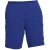 Nike Heren Shorts met Merk Pocket (Blauw)