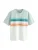 Next Shirt  petrol / lichtgroen / donkeroranje / wit