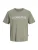 JACK & JONES Shirt ‘JJDEVIN DAYTONA’  aardetinten / wit