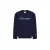 Hooded sweatshirt Champion Rochester Logo