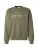 Carhartt WIP Sweatshirt  hemelsblauw / olijfgroen