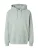 Iriedaily Sweatshirt  lichtgroen