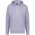RAIZZED Newton Hoody Grey Lila