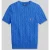 Polo Ralph Lauren Slim fit pullover met korte mouwen en labelstitching