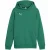 Puma Kinder/kids team goal casuals hoodie