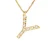Collar ABC Diamonds 0,05 Cts BRIEF “Y” ??Yellow Gold 18k