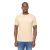 Duck and Cover Heren Pittifore T-Shirt (Stone)