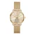 Michael Kors Horloge MK3844 Goud