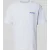 Dickies Regular fit T-shirt met motiefprint model ‘DRY RIDGE’