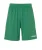 UHLSPORT Sportbroek ‘Team Essential’  groen / wit