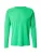 ENDURANCE Functioneel shirt ‘Hanieber’  groen