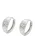 faina Oorbellen  zilver / transparant
