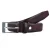 Picard Riem  chocoladebruin
