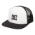 Trucker pet DC Shoes Gas Station