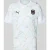 PUMA Performance Oostenrijk uitshirt 2026