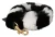 Dolce & Gabbana Black White Lapin Fur Accessoire schouder damesriem