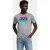 Levi’s Graphic Crewneck Tee Pastel Sportswear Neutral