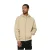 Hooded sweatshirt met rits Urban Classics